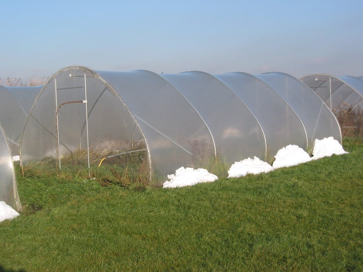Aplikasi Tunnel & Partisi Nursery
