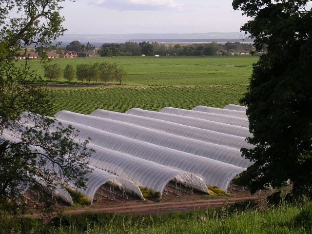 Partisi & Terowongan Polytunnel Agro